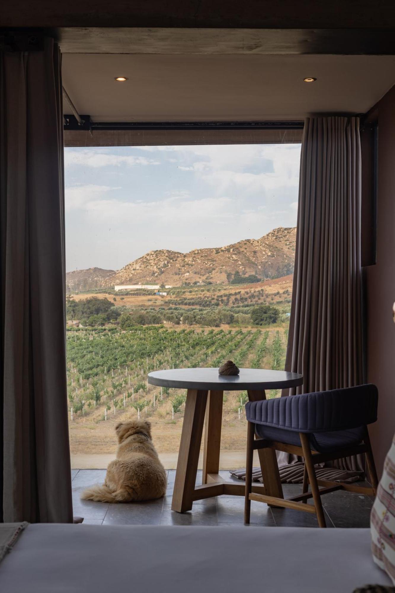 Bruma Wine Resort Valle de Guadalupe Zewnętrze zdjęcie
