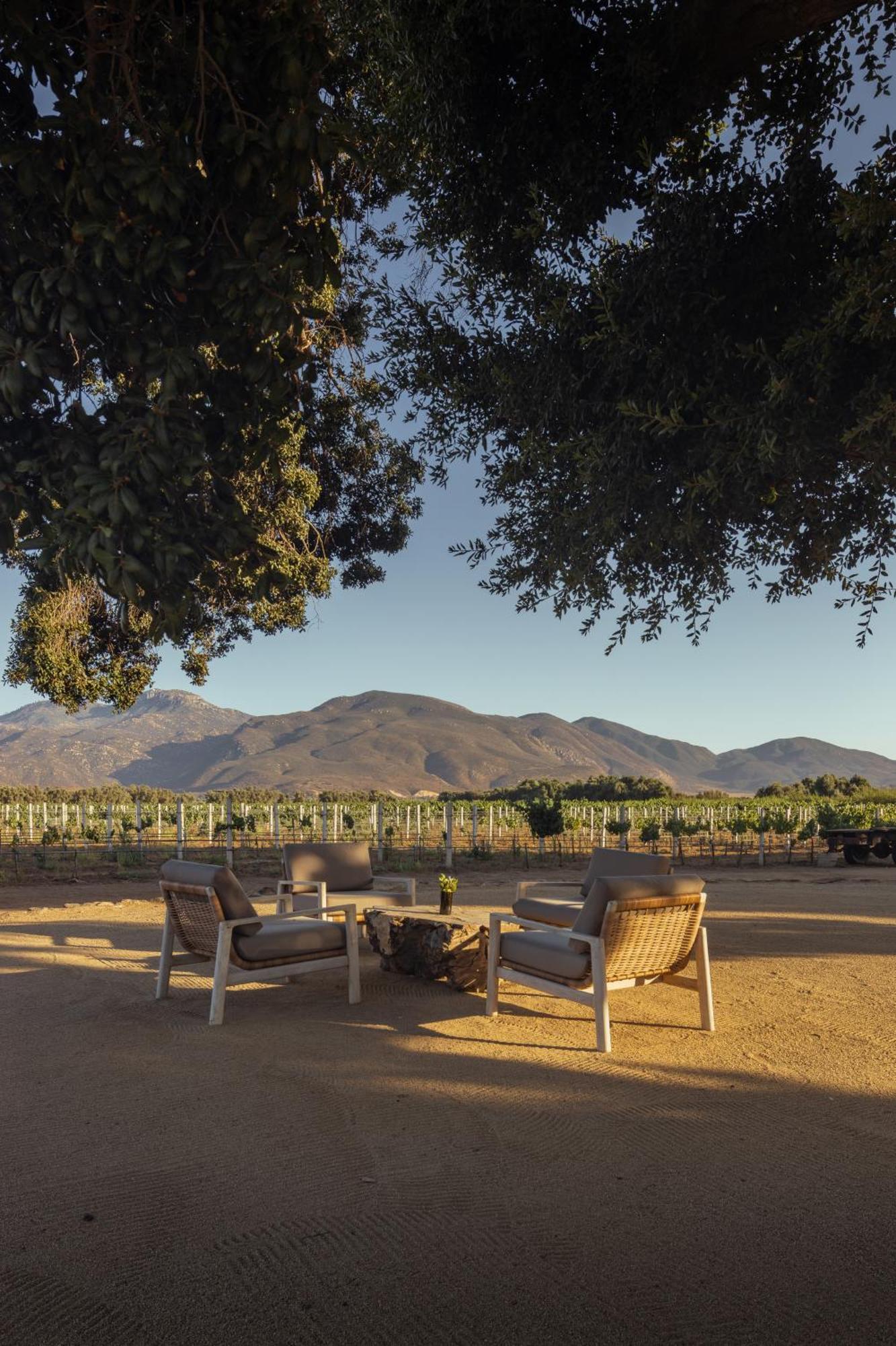 Bruma Wine Resort Valle de Guadalupe Zewnętrze zdjęcie