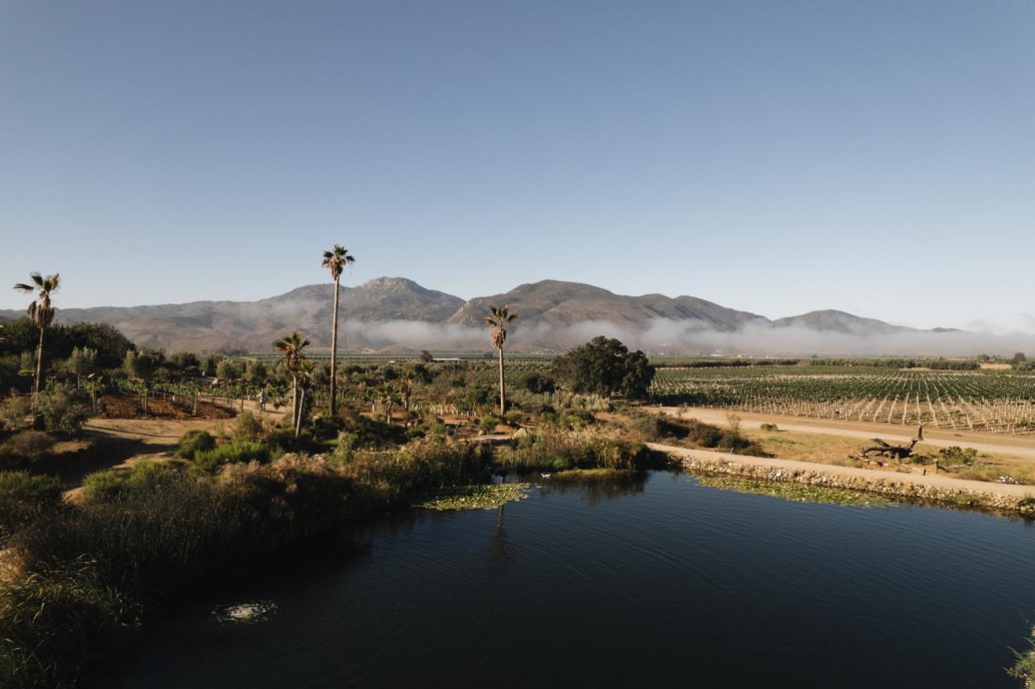 Bruma Wine Resort Valle de Guadalupe Zewnętrze zdjęcie