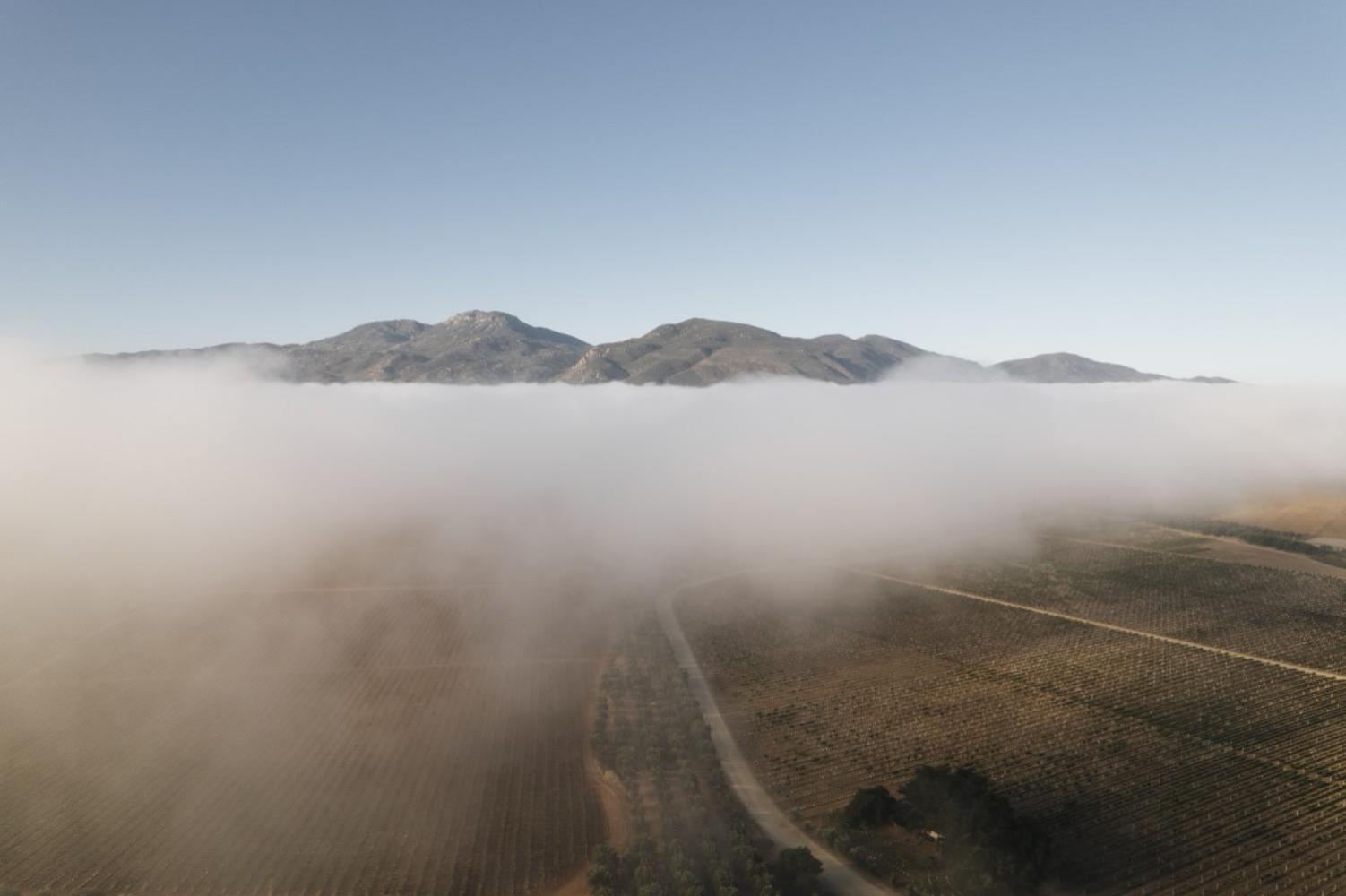 Bruma Wine Resort Valle de Guadalupe Zewnętrze zdjęcie